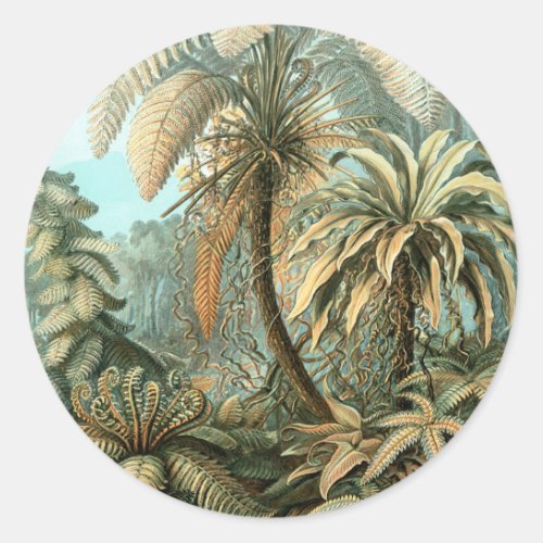 Filicinae by Ernst Haeckel Vintage Fern Plants Classic Round Sticker