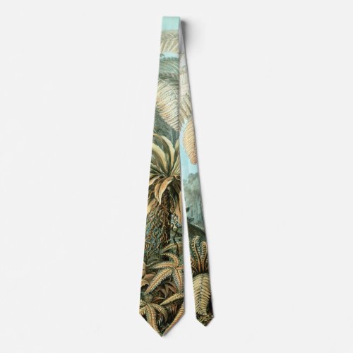 Filicinae by Ernst Haeckel Vintage Fern Plants Neck Tie