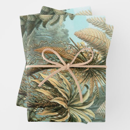 Filicinae by Ernst Haeckel Vintage Fern Plants Wrapping Paper Sheets
