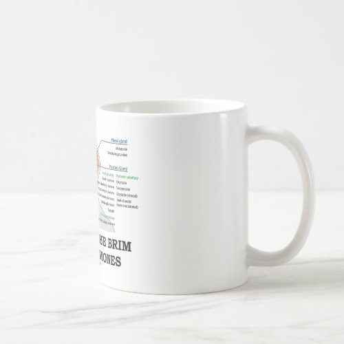 Filled To The Brim With Hormones Anatomy Coffee Mug