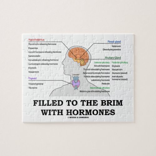 Filled To The Brim With Hormones Medical Humor Jigsaw Puzzle