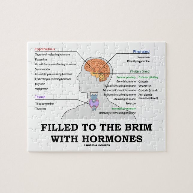 Filled To The Brim With Hormones Medical Humor Jigsaw Puzzle (Horizontal)