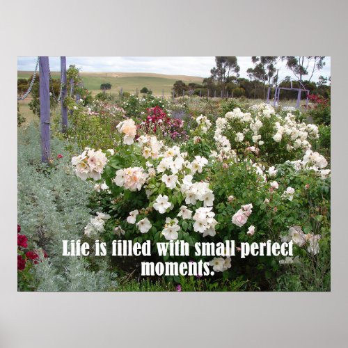 Filled With Perfect Moments Garden Flowers Poster