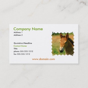Filly Business Card by HorseStall at Zazzle