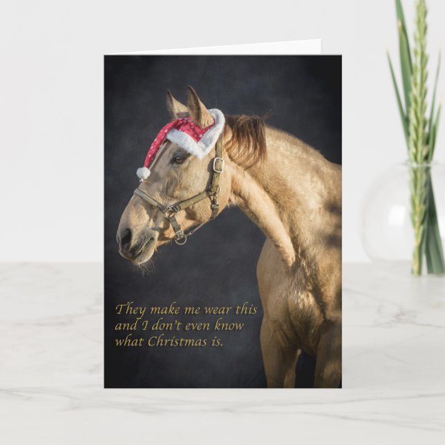 Filly looking silly at Christmas Holiday Card (Front)