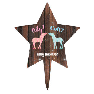Filly or Colt Gender Reveal Cake Topper