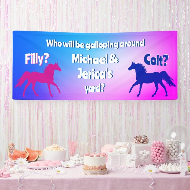 Filly Or Colt Western Style  Banner (Party)