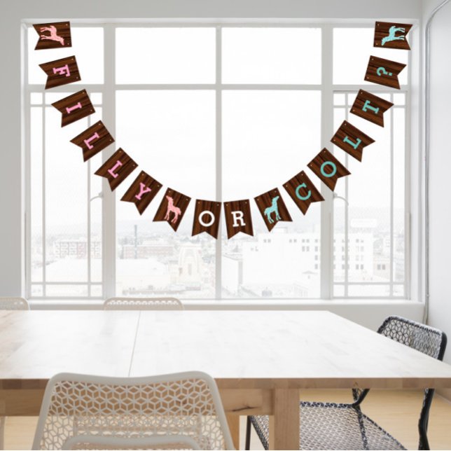 Filly Or Colt Western Style Gender Reveal  Bunting Flags (Creator Uploaded)