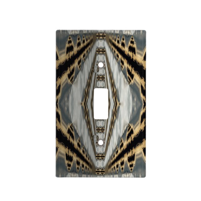 Final Stage Light Switch Cover (Front)