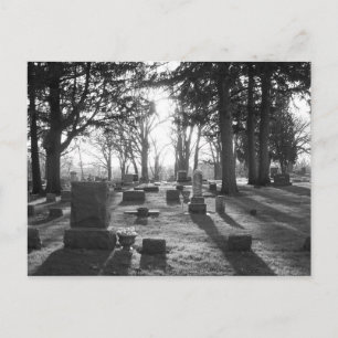 Final Sunset (b&w) Postcard