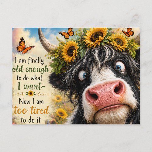 Finally Old Enough Cow Postcard