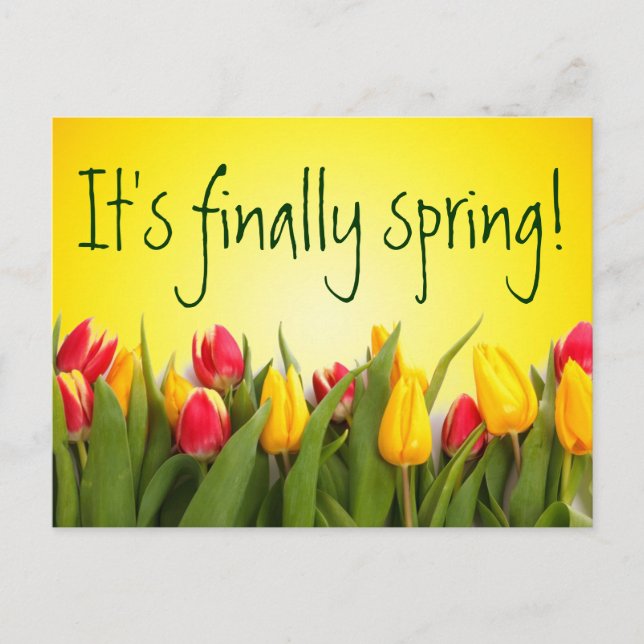 Finally Spring Colorful Spring Tulips Yellow Postcard (Front)