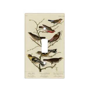 Finch, Bunting, Grosbeak, Audubon Birds of America Light Switch Cover