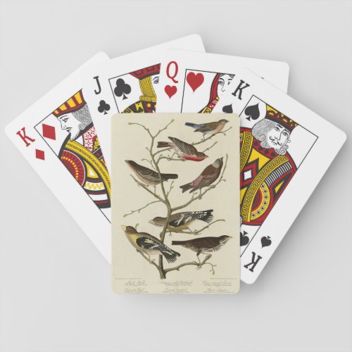 Finch Bunting Grosbeak Audubon Birds of America Playing Cards