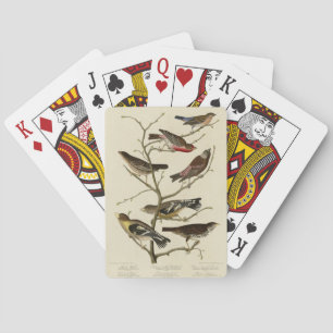 Finch, Bunting, Grosbeak, Audubon Birds of America Poker Cards