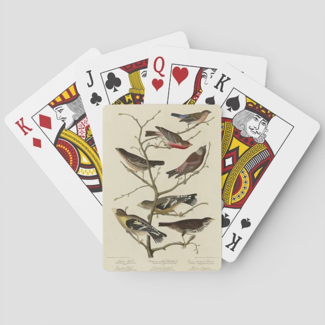 Finch, Bunting, Grosbeak, Audubon Birds of America Poker Cards (Back)