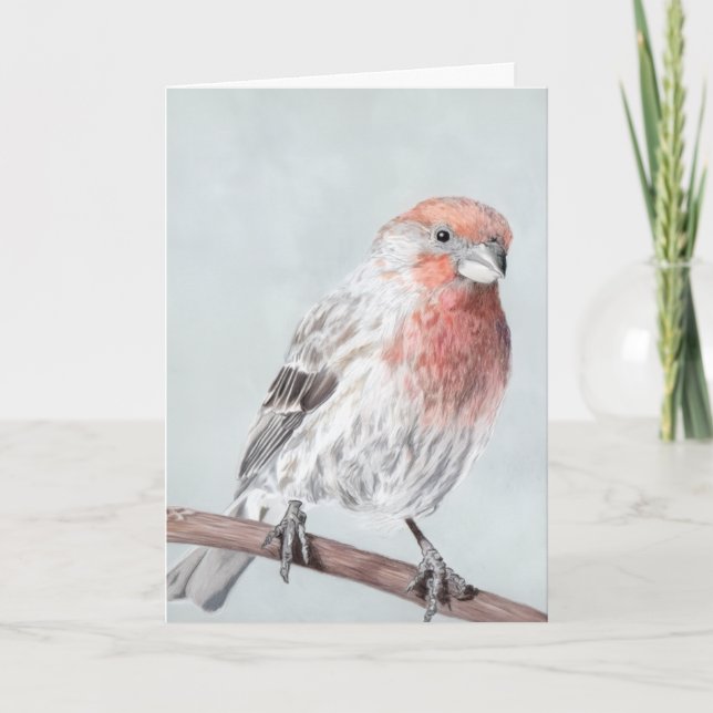 Finch Card (Front)