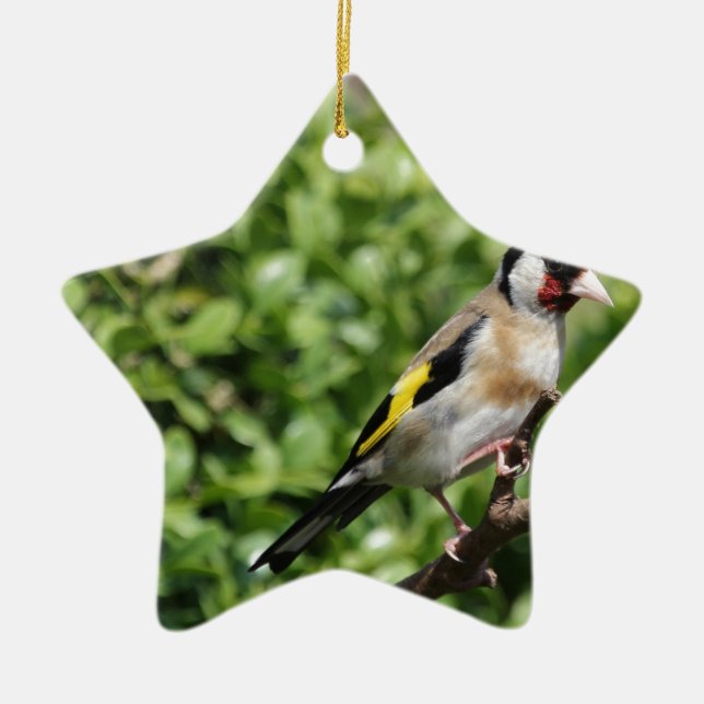 FInch Ceramic Ornament (Front)