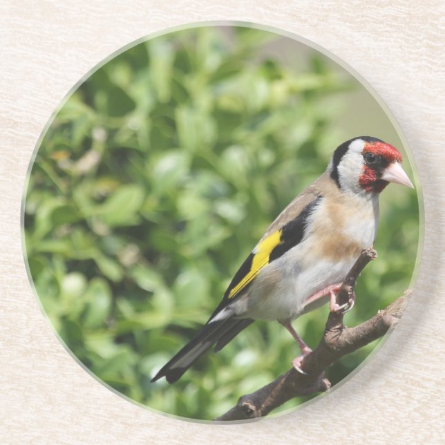 FInch Drink Coaster (Front)
