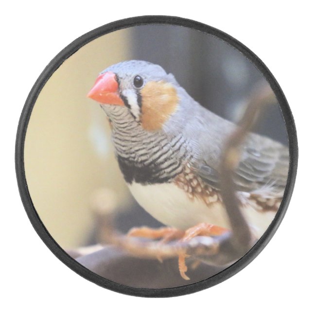 Finch Hockey Puck (Front)
