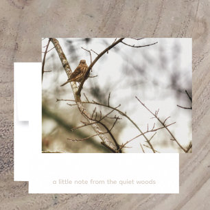 Finch in Winter Branches Nature Photography Note Card