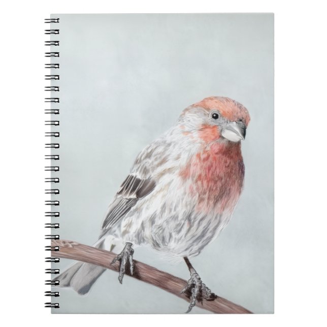 Finch Notebook (Front)