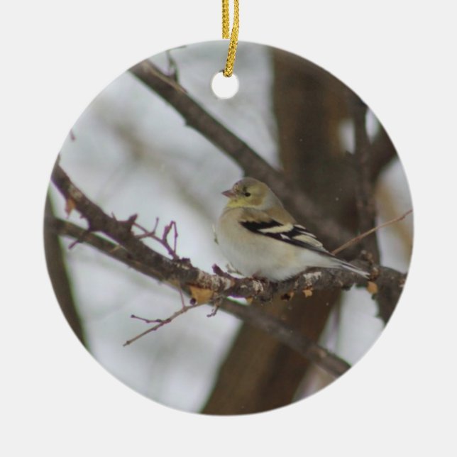 Finch Ornament (Front)
