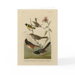 Finch, Towhee, Sparrow, Audubon's Birds of America Card