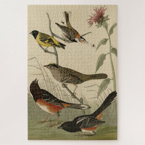 Finch Towhee Sparrow Audubons Birds of America Jigsaw Puzzle