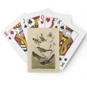 Finch, Towhee, Sparrow, Audubon's Birds of America Poker Cards