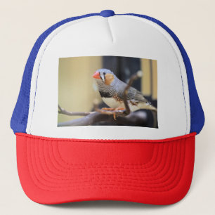 Finch Trucker Hat