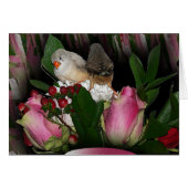 Finches Card 2 (Front Horizontal)