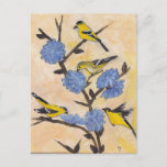Finches on Chicory Postcard