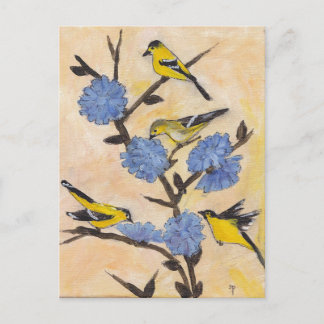 Finches on Chicory Postcard