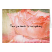 Find Gratitude (Front Horizontal)