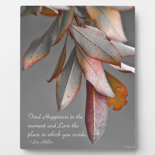 Find Happiness in the moment Plaque