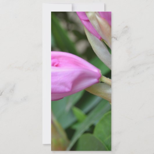 Find Joy Everyday Bookmark (Back)