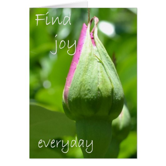Find Joy Everyday Cards (Front)
