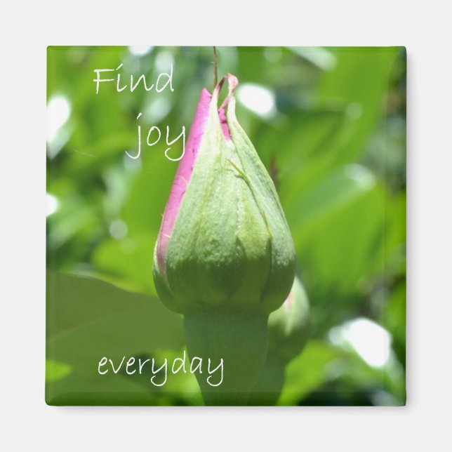 Find Joy Everyday Magnet (Front)