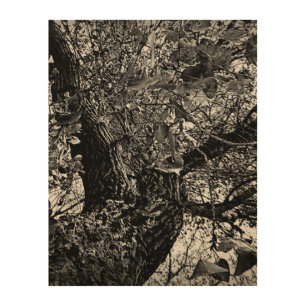 Find me in the trees wood wall art