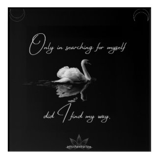 Find My Way Acrylic Wall Art