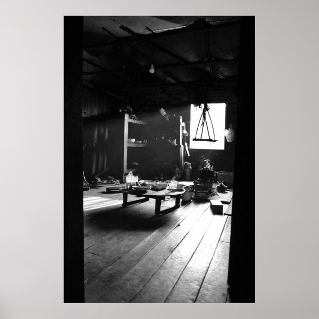 Find the Cat! Poster (Front)