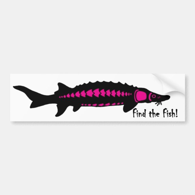 find the fish, PINK2 Bumper Sticker (Front)
