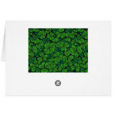 Find the lucky clover 2 cards (Back Horizontal)
