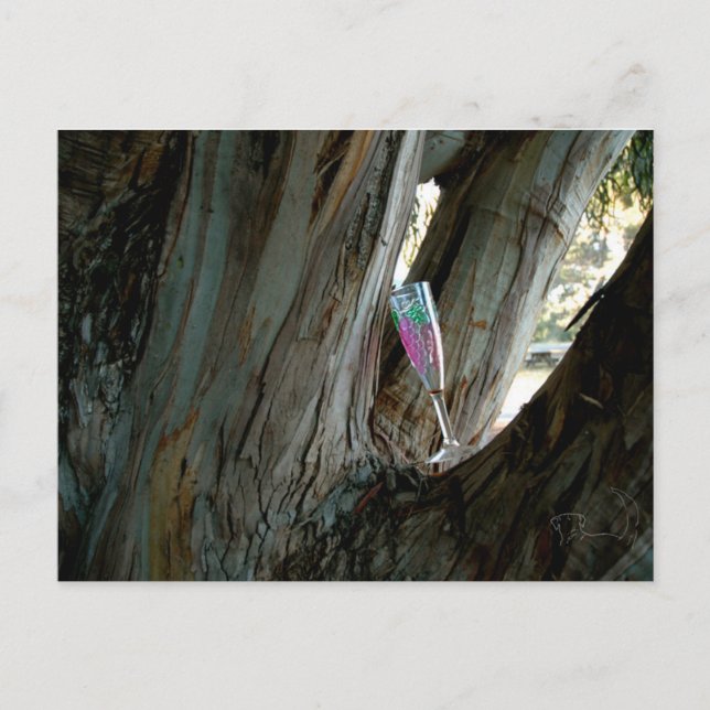 Find the perfect place and time for wine postcard (Front)