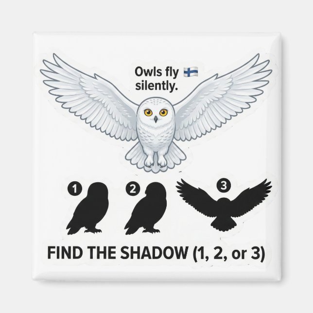 Find the Shadow – Snowy Owl Learning Magnet (Front)