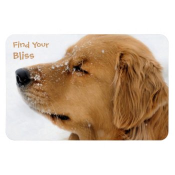 Find Your Bliss Golden Retriever Magnet by artinphotography at Zazzle