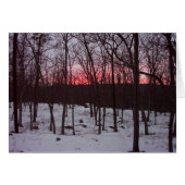 Find Your Light Card (Front Horizontal)