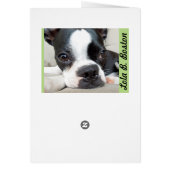 Find Your Zen - BLANK CARD Lola B. Boston (Back)