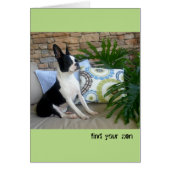 Find Your Zen - BLANK CARD Lola B. Boston (Front)